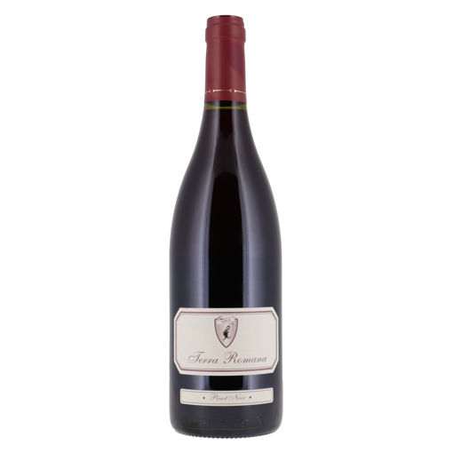 Afbeeldingen van TERRA ROMANA PINOT NOIR ROOD 75CL